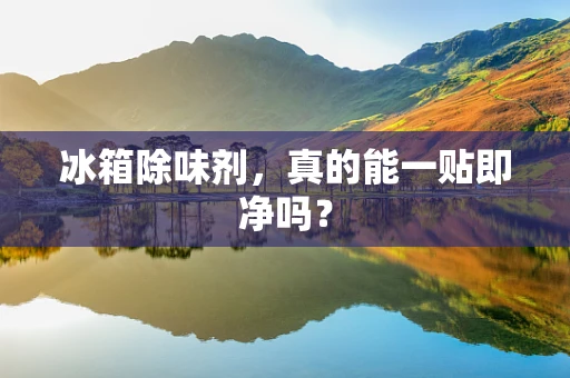 冰箱除味剂，真的能一贴即净吗？