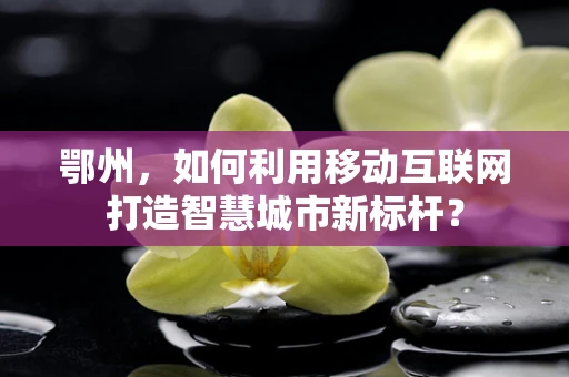 鄂州，如何利用移动互联网打造智慧城市新标杆？