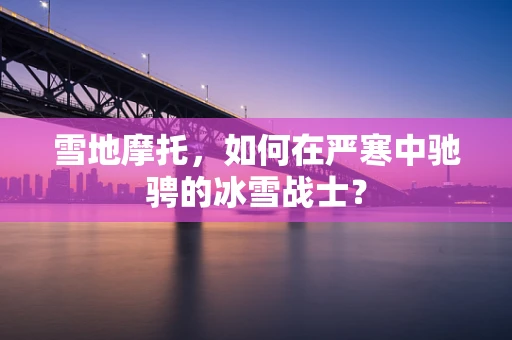 雪地摩托，如何在严寒中驰骋的冰雪战士？