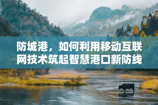 防城港，如何利用移动互联网技术筑起智慧港口新防线？