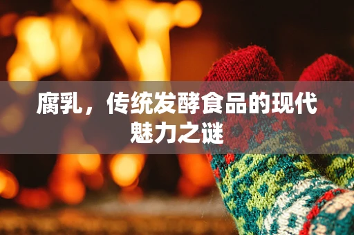 腐乳，传统发酵食品的现代魅力之谜