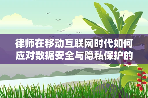 律师在移动互联网时代如何应对数据安全与隐私保护的挑战？
