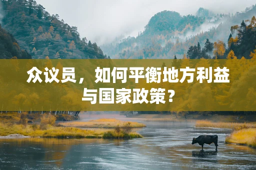 众议员，如何平衡地方利益与国家政策？
