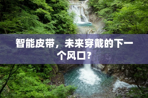 智能皮带，未来穿戴的下一个风口？