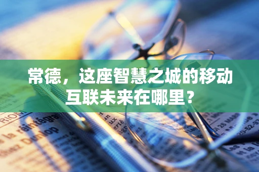 常德，这座智慧之城的移动互联未来在哪里？