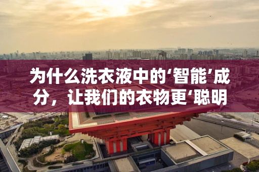 为什么洗衣液中的‘智能’成分，让我们的衣物更‘聪明’地清洁？