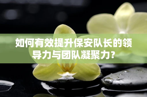 如何有效提升保安队长的领导力与团队凝聚力？