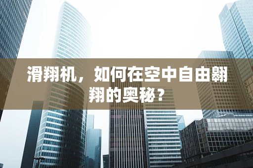 滑翔机，如何在空中自由翱翔的奥秘？