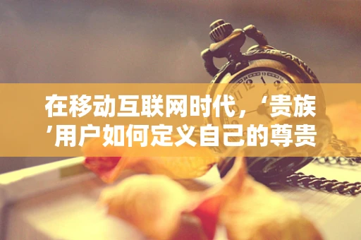 在移动互联网时代，‘贵族’用户如何定义自己的尊贵体验？