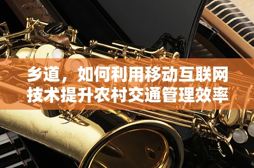 乡道，如何利用移动互联网技术提升农村交通管理效率？