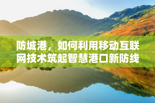 防城港，如何利用移动互联网技术筑起智慧港口新防线？