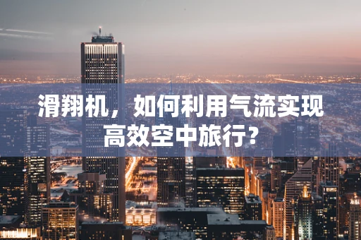 滑翔机，如何利用气流实现高效空中旅行？