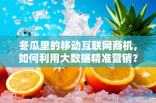 冬瓜里的移动互联网商机，如何利用大数据精准营销？