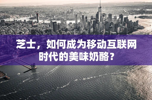 芝士，如何成为移动互联网时代的美味奶酪？