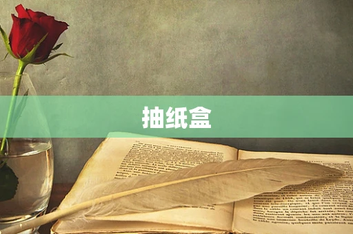 抽纸盒