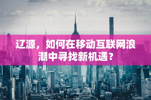 辽源，如何在移动互联网浪潮中寻找新机遇？