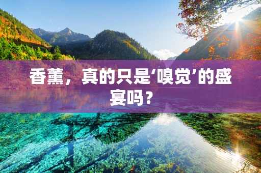 香薰，真的只是‘嗅觉’的盛宴吗？