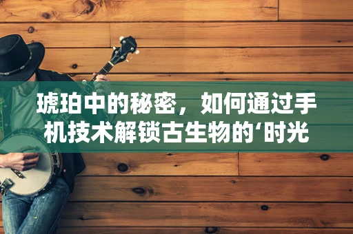 琥珀中的秘密，如何通过手机技术解锁古生物的‘时光胶囊’？