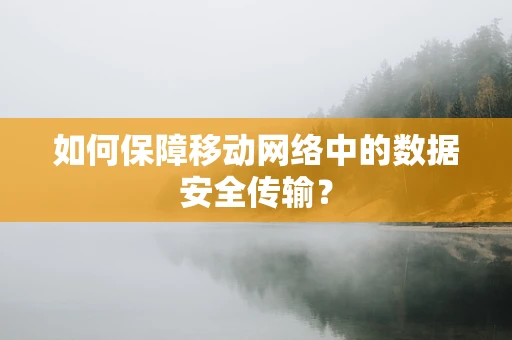 如何保障移动网络中的数据安全传输？