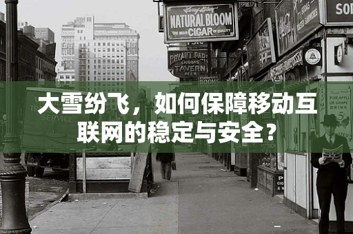 大雪纷飞，如何保障移动互联网的稳定与安全？