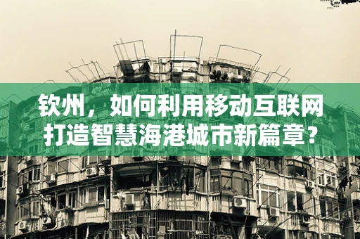 钦州，如何利用移动互联网打造智慧海港城市新篇章？