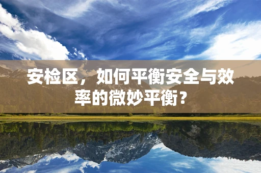 安检区，如何平衡安全与效率的微妙平衡？