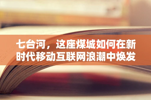 七台河，这座煤城如何在新时代移动互联网浪潮中焕发新生？