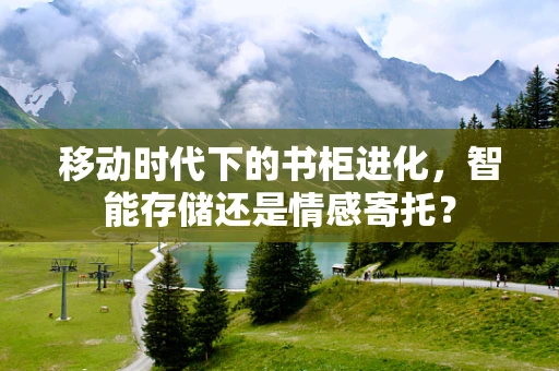 移动时代下的书柜进化，智能存储还是情感寄托？