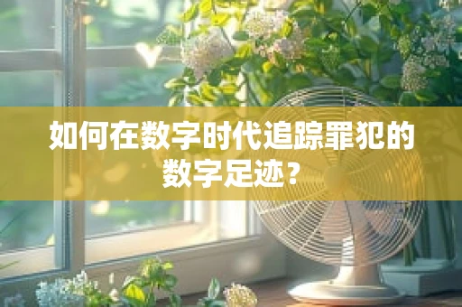 如何在数字时代追踪罪犯的数字足迹？