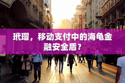 玳瑁，移动支付中的海龟金融安全盾？
