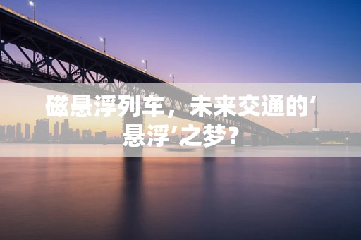 磁悬浮列车，未来交通的‘悬浮’之梦？