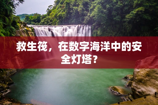 救生筏，在数字海洋中的安全灯塔？