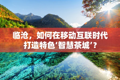 临沧，如何在移动互联时代打造特色‘智慧茶城’？