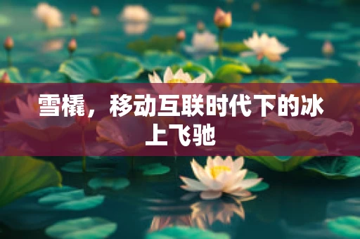 雪橇，移动互联时代下的冰上飞驰