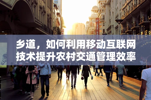 乡道，如何利用移动互联网技术提升农村交通管理效率？