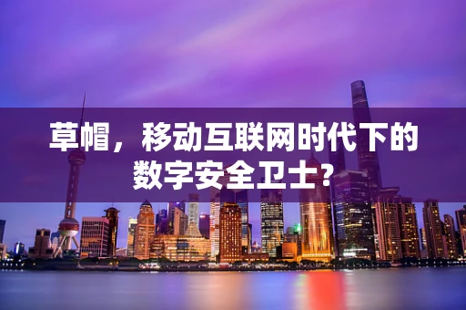 草帽，移动互联网时代下的数字安全卫士？