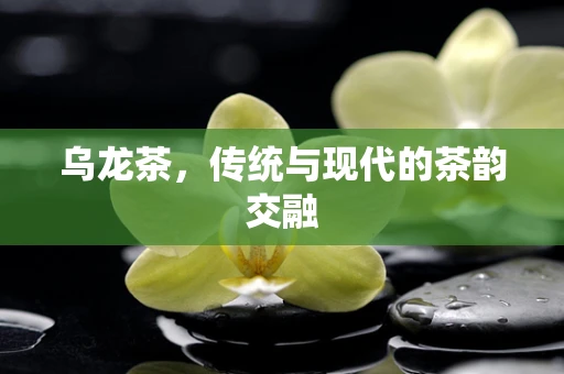 乌龙茶，传统与现代的茶韵交融
