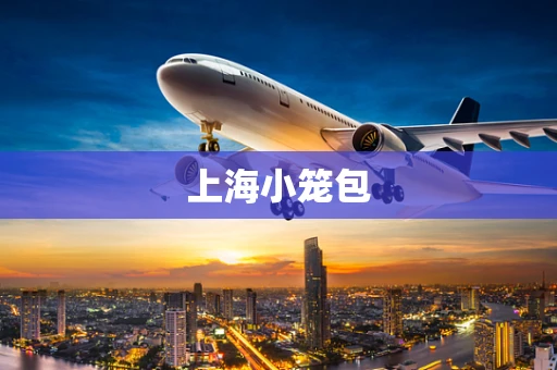 上海小笼包
