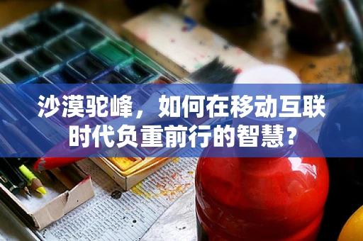 沙漠驼峰，如何在移动互联时代负重前行的智慧？