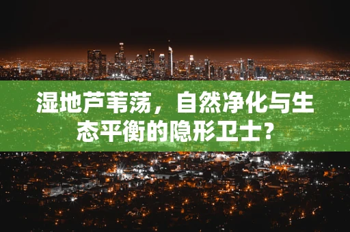 湿地芦苇荡，自然净化与生态平衡的隐形卫士？