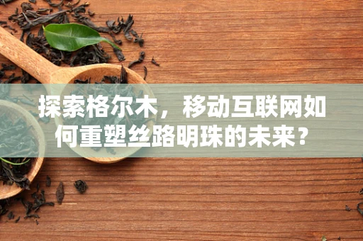 探索格尔木，移动互联网如何重塑丝路明珠的未来？