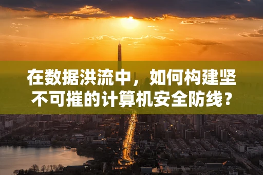 在数据洪流中，如何构建坚不可摧的计算机安全防线？