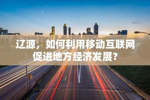 辽源，如何利用移动互联网促进地方经济发展？