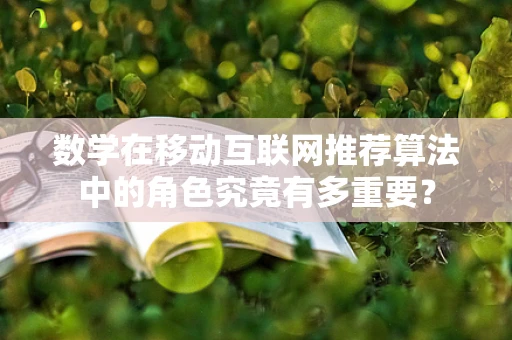 数学在移动互联网推荐算法中的角色究竟有多重要？