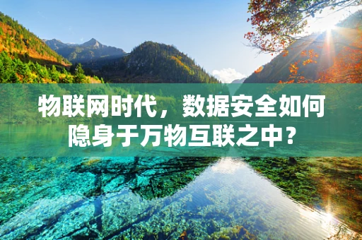 物联网时代，数据安全如何隐身于万物互联之中？