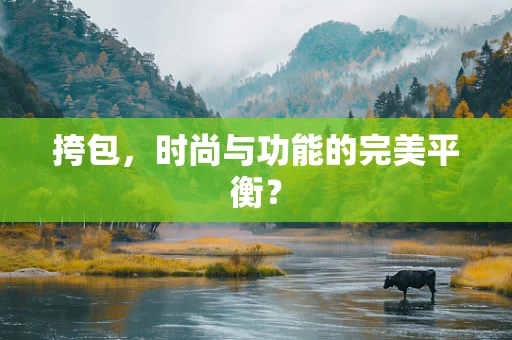 挎包，时尚与功能的完美平衡？
