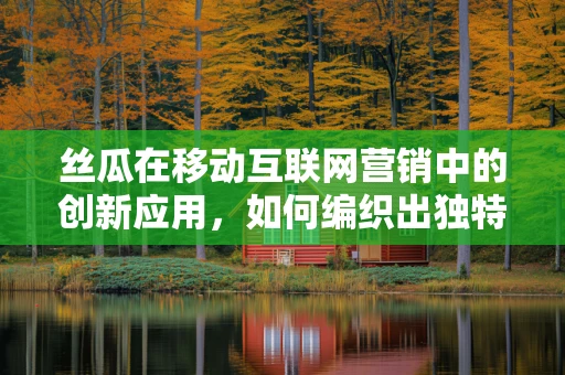 丝瓜在移动互联网营销中的创新应用，如何编织出独特的用户体验网？