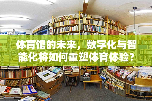 体育馆的未来，数字化与智能化将如何重塑体育体验？