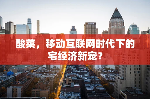 酸菜，移动互联网时代下的宅经济新宠？