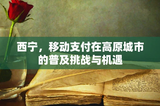 西宁，移动支付在高原城市的普及挑战与机遇